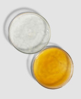 VITA-BOTANICAL - MELA-FADE SERUM SYSTEM texture