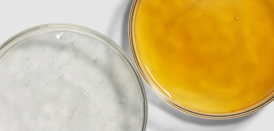 skin pigmentation